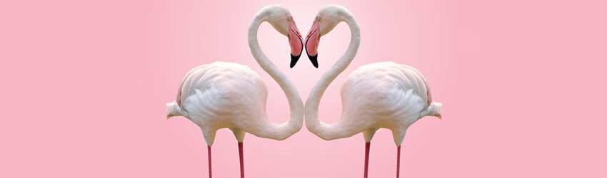Life path number 22 and 5 compatibility picture 3